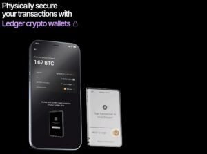 Ledger wallet