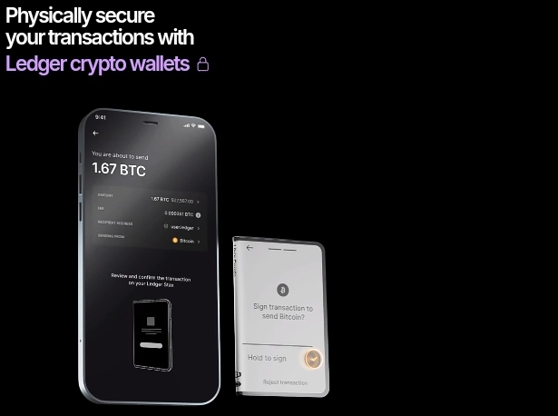 Ledger wallet