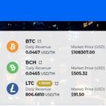 SBI Crypto